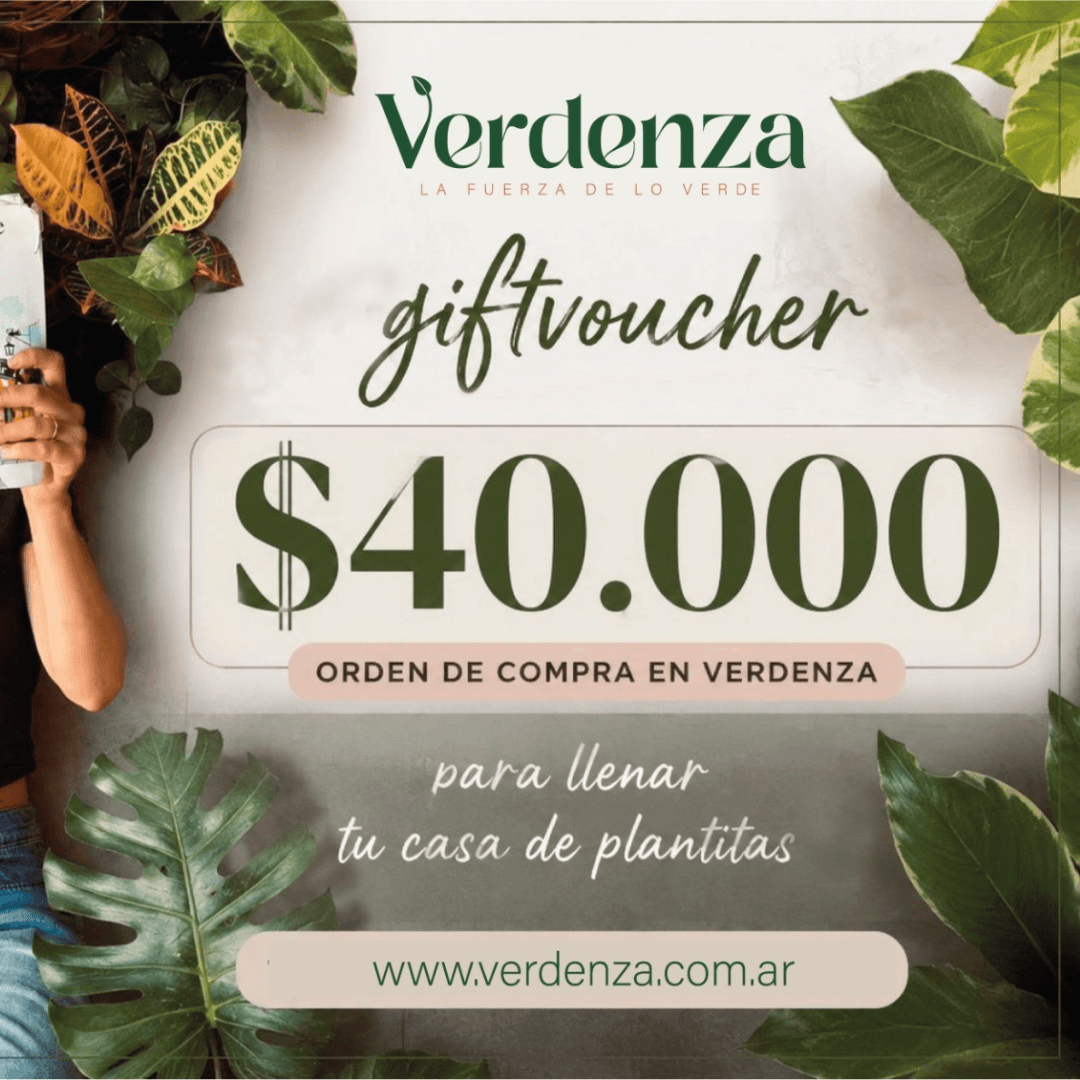 Para elegir plantitas, macetas y esos detalles que transforman cualquier rincón