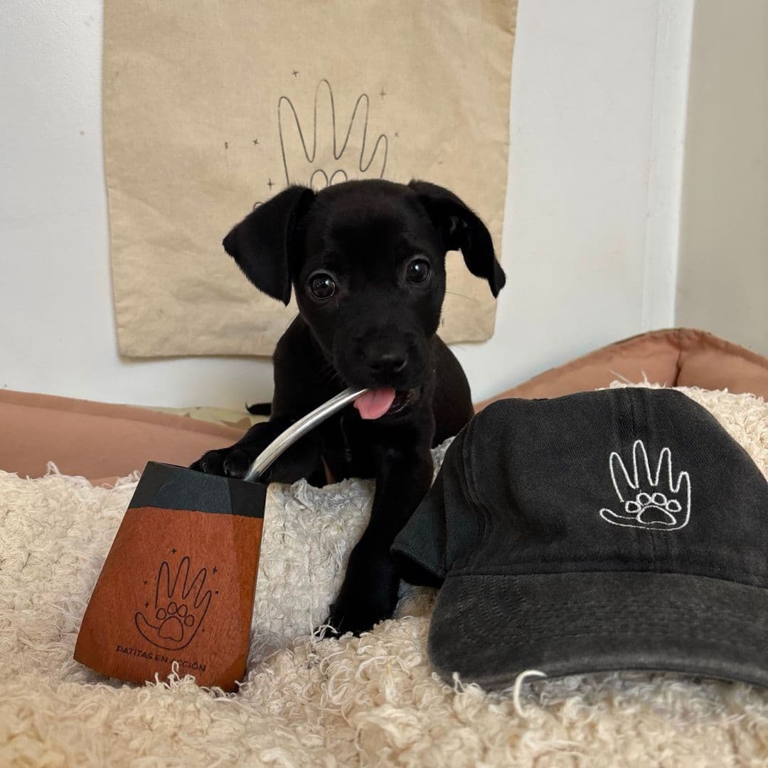 Mate de madera o de cerámica, tote bag estampada, gorra con logo,llaverito + chapita