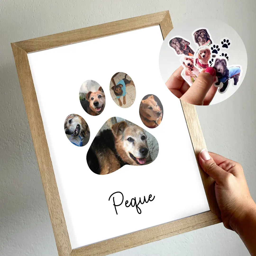 Cuadro personalizado + 5 stickers personalizados de tu mascota