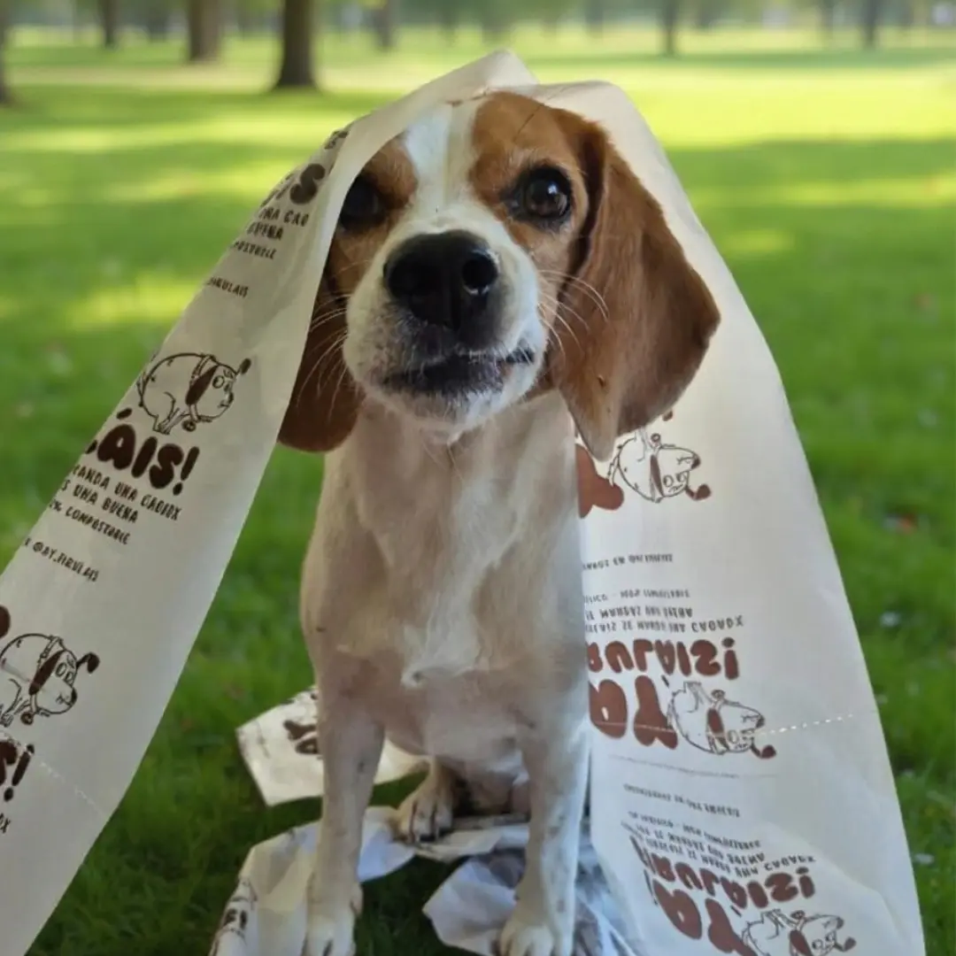 12 rollos de bolsas 100% compostables para perrito